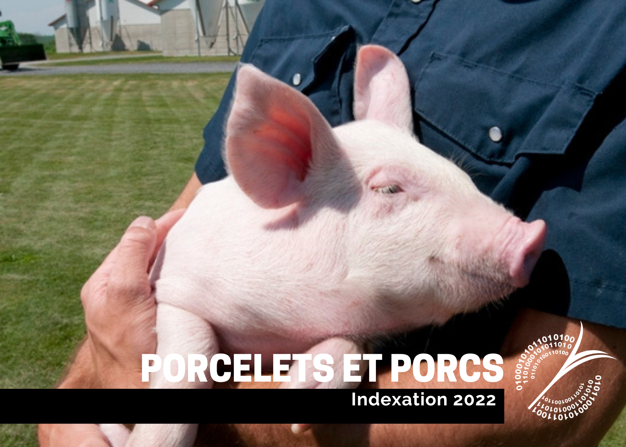 étude : Indexation 2022 - Porcelets et porcs